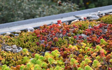 the cost of St Ruan green roof installation