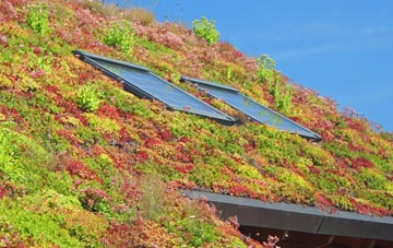 St Ruan living roof systems