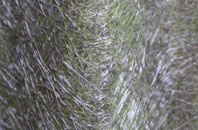 St Ruan fibreglass roof work